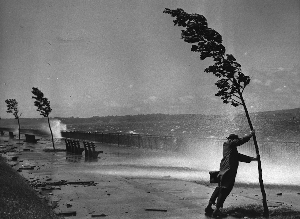 A man holds onto a tree by the seashore (possibly along the Shore Parkway Greenway) against severe winds during Hurricane Carol's assault on the Northeastern seaboard, Brooklyn, New York, August 31, 1954. (Photo by Hulton Archive/Getty Images)